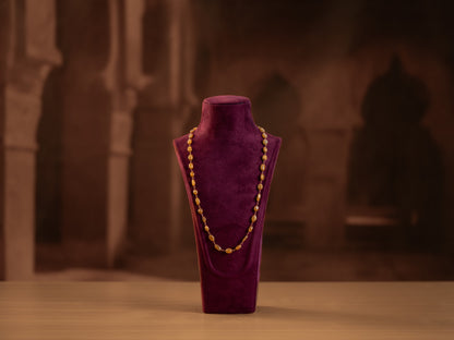 Paridhi Chain